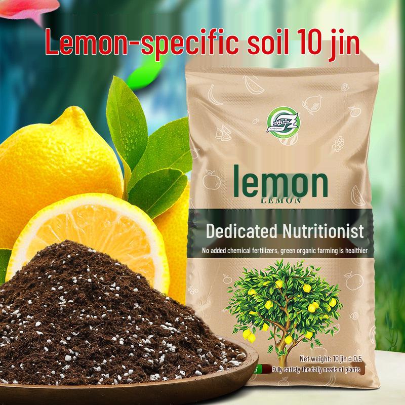 Výživový roztok bez ředění pro kyselomilné bonsaje a zelené rostliny