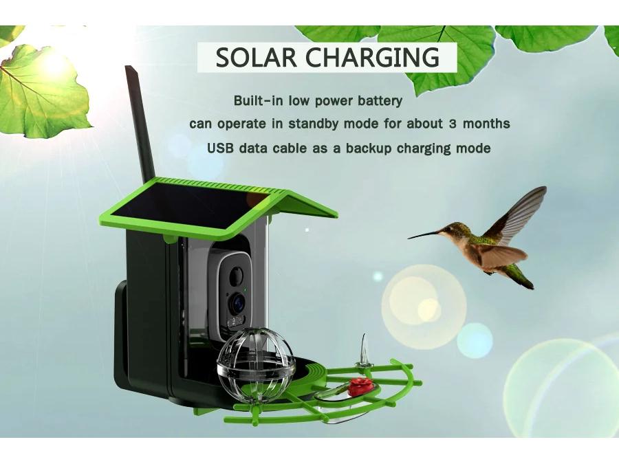 Smart Solar Bird Feeder with AI Recognition and Low Power HD Camera