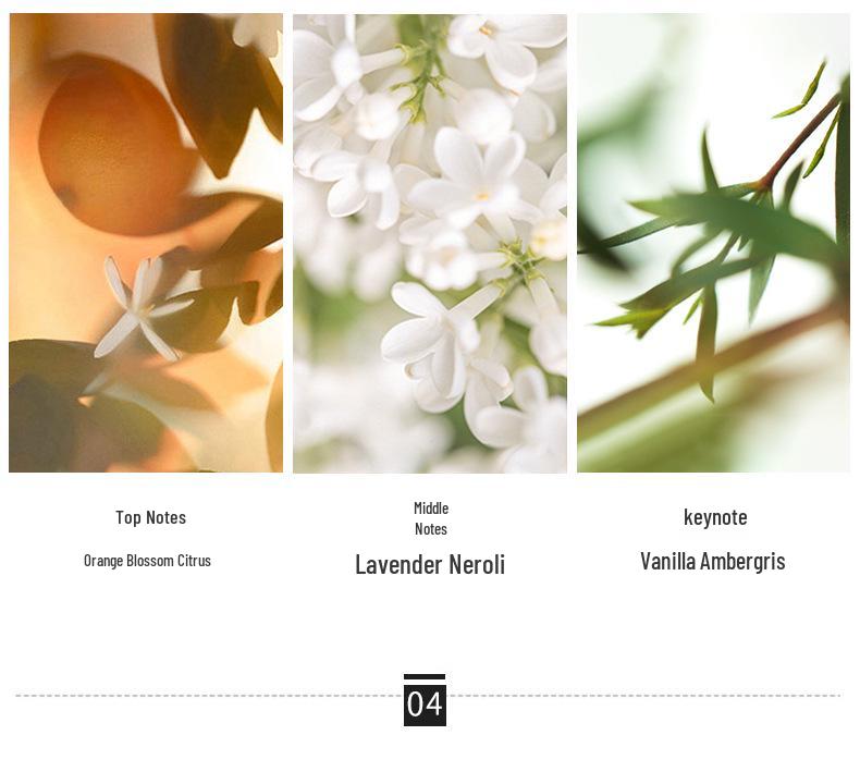 Azure Men's Perfume Set: Long-lasting, Light Fragrance - Earth Wild Collection, Vietnam