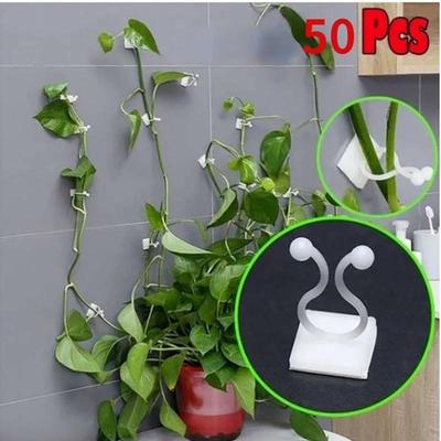50 Piezas/set Plástico Invisible Fijación de Enredaderas de Pared Gancho Adhesivo de Pared Clip de Fijación de Enredaderas Soporte para Enredaderas para Jardín Hogar