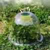 5PCS PVC Plant Protectors Dome Covers with Highly Visibility And Cold Weather Resistances for Garden Greenhouses Use