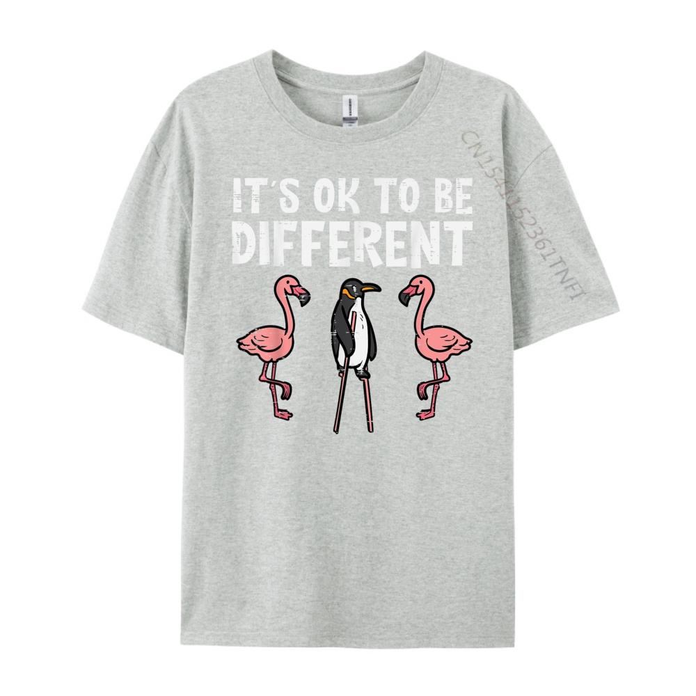Penguin Its Okay To Be Different Flamingo Graphic T Shirts 100 Cotton Luxury Clothes Men Tee Shirt Loose