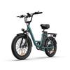 URLIFE-E20 20"x3" Fat Tire Electric Bike - 250W Motor, 48V 13AH Battery, 80-100KM Range