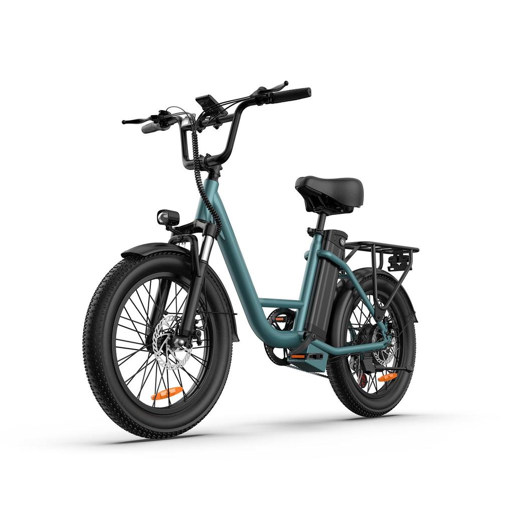 URLIFE-E20 20"x3" Fat Tire Electric Bike - 250W Motor, 48V 13AH Battery, 80-100KM Range