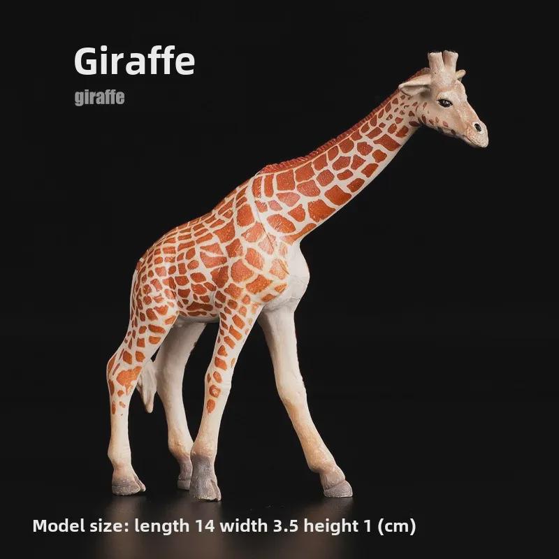 

Мягкие ПВХ модели животных игрушки для образования: Слон и жираф