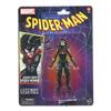MARVEL Hasbro Marvel Legends Series Jessica Drew Spider-Woman, Spider-Man Legend 6 Inch (15 Cm) Size Action Figure with 2 Accessories F6569 Genuine Pr