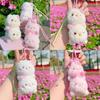 Sakura Cat Season Bear Rabbit Plush Animal Keychain Pendant Decoration Gift