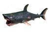 Figura de Peixe Antigo Megalodon Tamanho Impressionante 25cm de Comprimento Modelo de Dinossauro (Megalodonte)