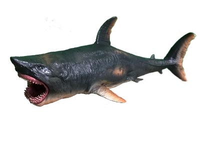 Crop Ancient Fish Figure Megalodon Impressive Size 25cm Long Dinosaur Model (Megalodon)