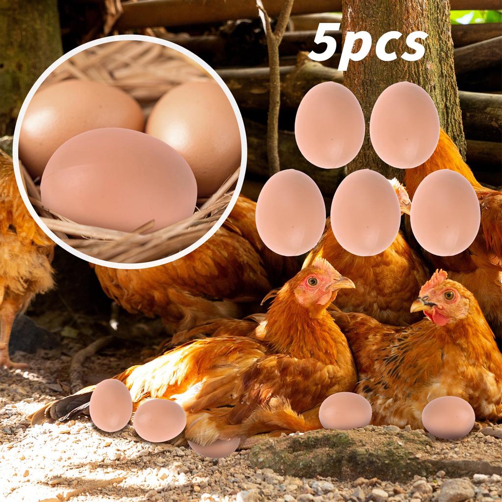 PCS Mannequin Oeufs Faux Oeufs Aide Pondre Poule