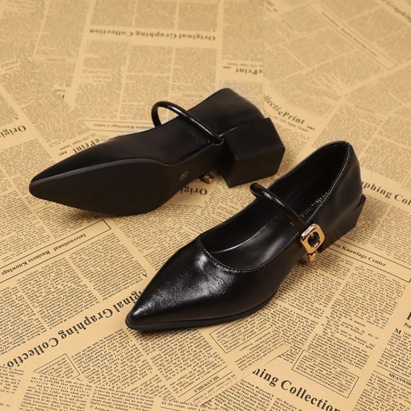 Elegante Damen-Pumps mit spitzer Zehenpartie, klobige Mode-Sandalen mit Absatz, Sommer 2025 Mode-Party-Pumps, neue Kleidschuhe für Damen