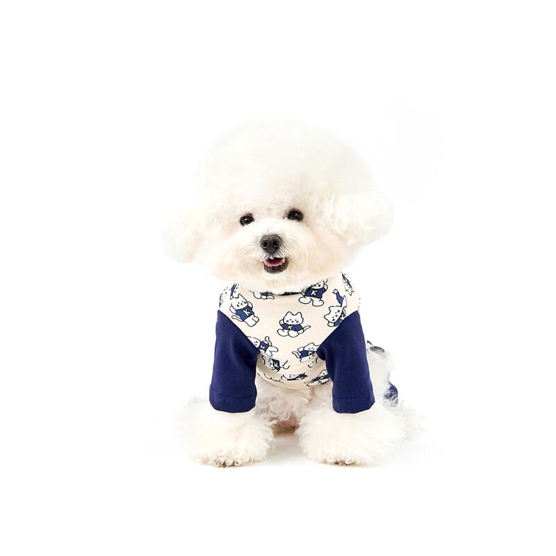 CHICHI MOTION PATTERN ALL IN ONE-BLUE M