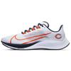 Air Zoom Pegasus 37 Chicago Bears CZ5433-100
