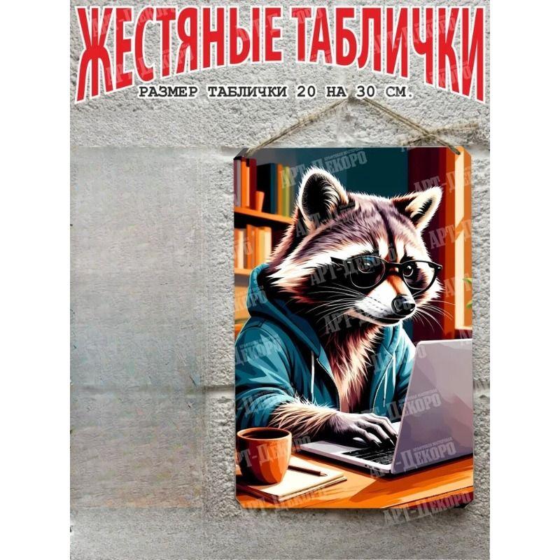 Raccoon Metal Wall Art 20x30cm Vintage Tin Sign Gift