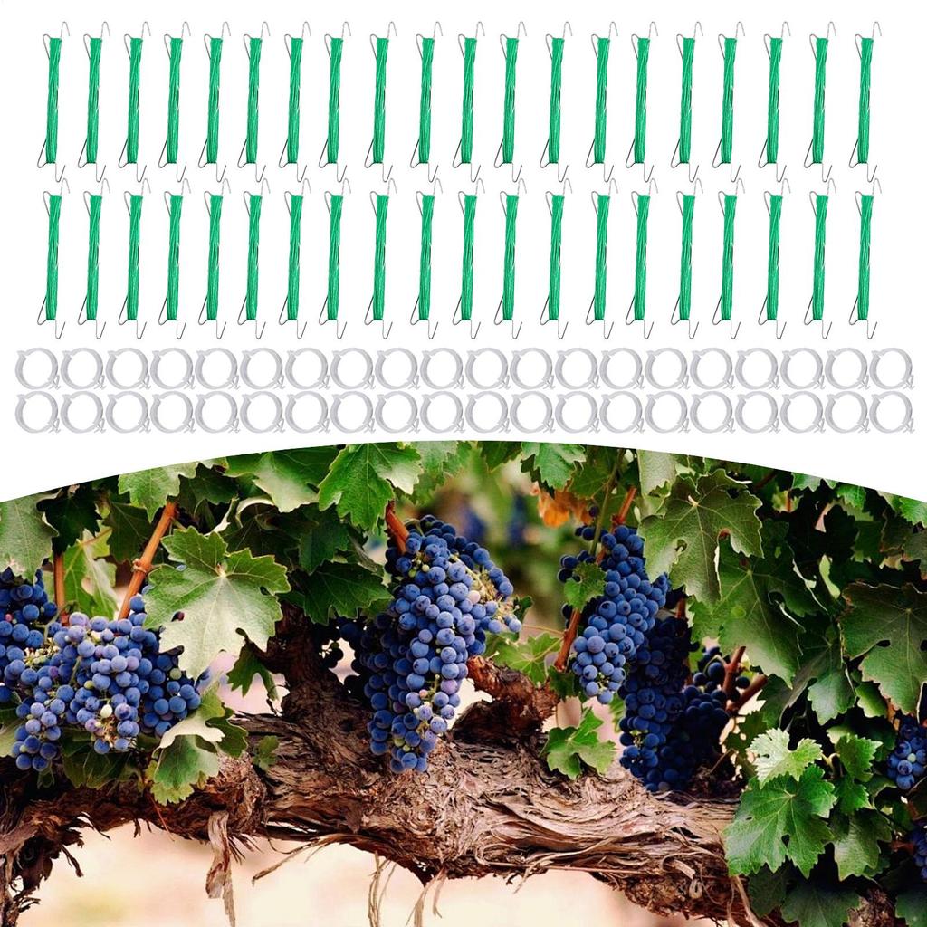 40pcs Tomato Support Hooks With String Garden Hooks To Support Climbing Plants Stem Fixing Holder With 40 Clips For Cucumber