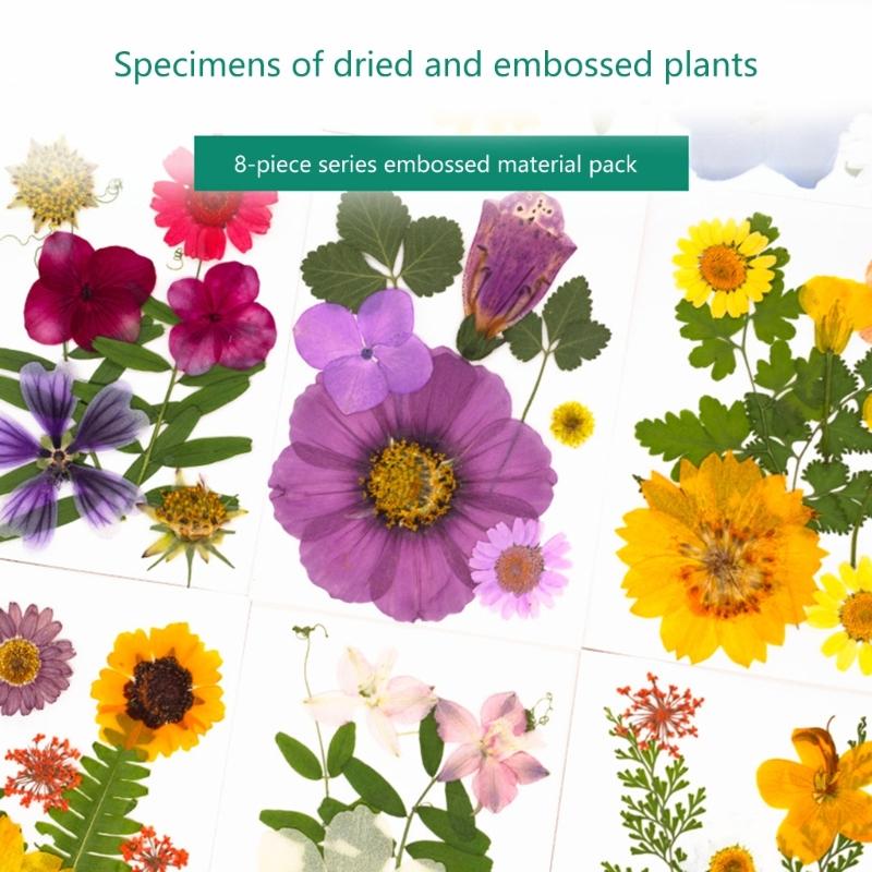 32Pcs Realistic Flower Pressed Florals Kits 4 Pack Natural Florals Craft Supplies For Resin Decorations And Gifts