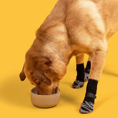 4 ks Útulné protiskluzové psí ponožky Silný úchop Tiché pletené ponožky pro domácí mazlíčky Měkká bavlna Proti olizování Kočičí ponožky pro ochranu podlahy