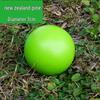 Children's Outdoor Sensory Training Gateball Croquet Mallet - Fun Group Sports Accessory