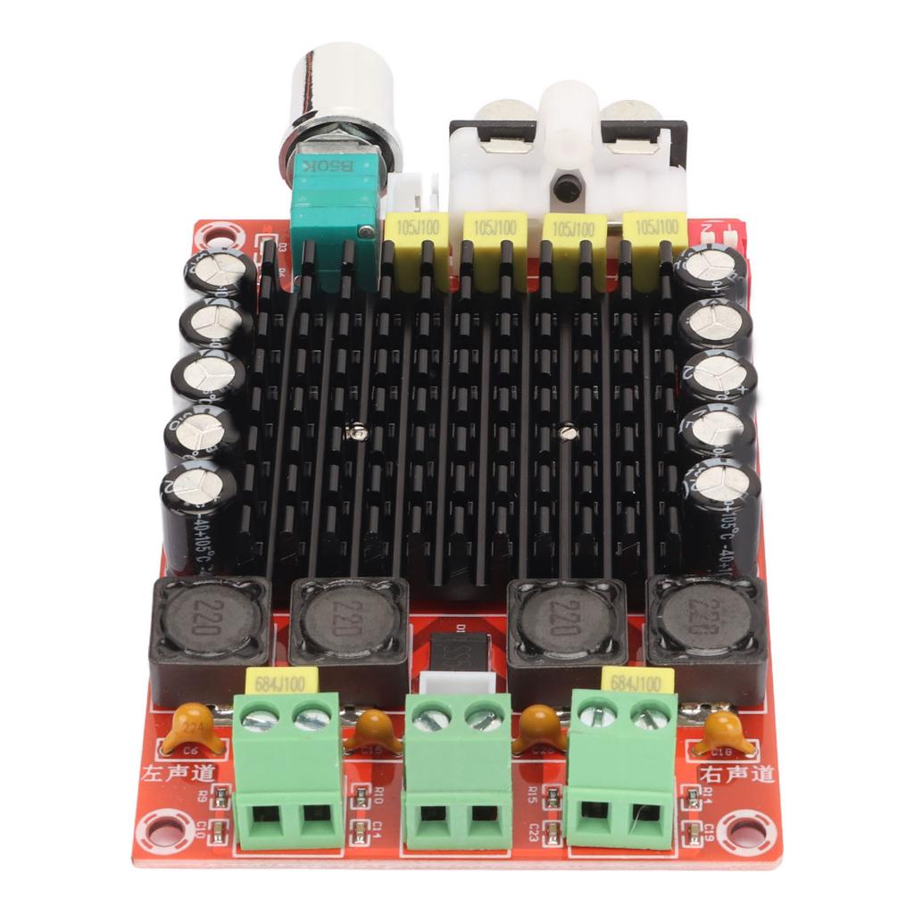Digital Amplifier Board Professional 100W+100W Dual Channel Class D Sound Amplifier Module for DIY Sound System