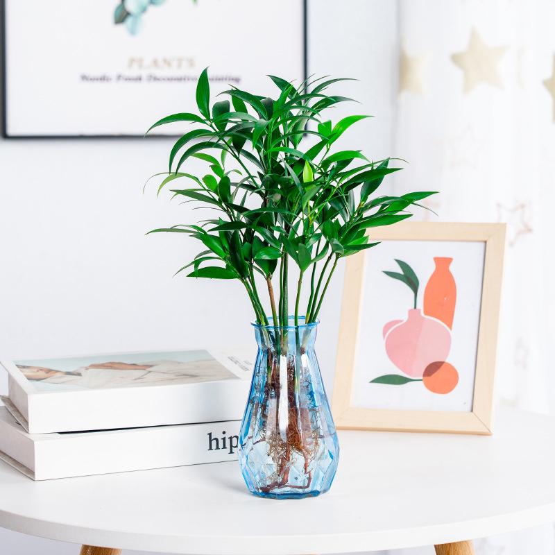 1 Pcs Creative Transparent Plastic Flower Vase Hydroponic Vase Living Room Desktop Decoration Wedding Centerpiece Arrangement