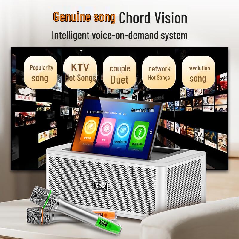 Soaiy SA-K2501 Home KTV Audio System with Microphone CN Plug (adapter Included)