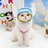 Kedi Cosplay Kostüm Giydirme Kıyafetleri İçin Komik Şapka Sevimli Evcil Hayvan Şapkası Fotoğraf Aksesuarı Cadılar Bayramu Noel Sokak Partisi İçin Evrensel Kedi Şapkası