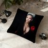 Singer DDoja CCat Vie cushion cover Home Office Convenient Nordic Simplicity Hit With Zipper Cushion Cover