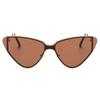 Cat Eye Sunglasses Luxury Brand Design Women Metal Triangle Sun Glasses Retro Lady Shades Eyewear Oculos