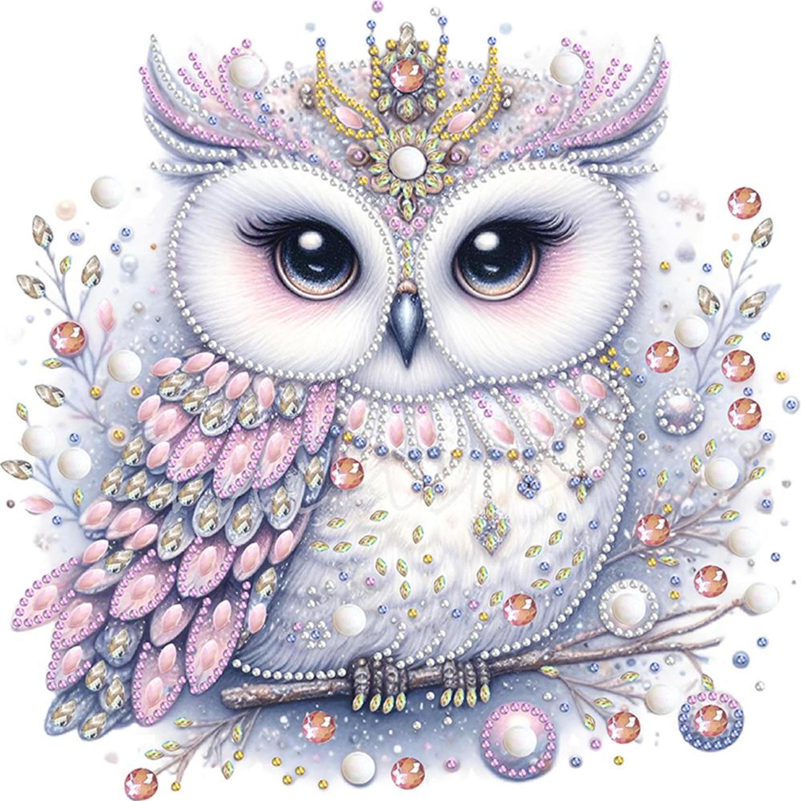 

5D DIY Частичный набор для алмазной живописи с особой формой сверла Bald Owl Home Decor
