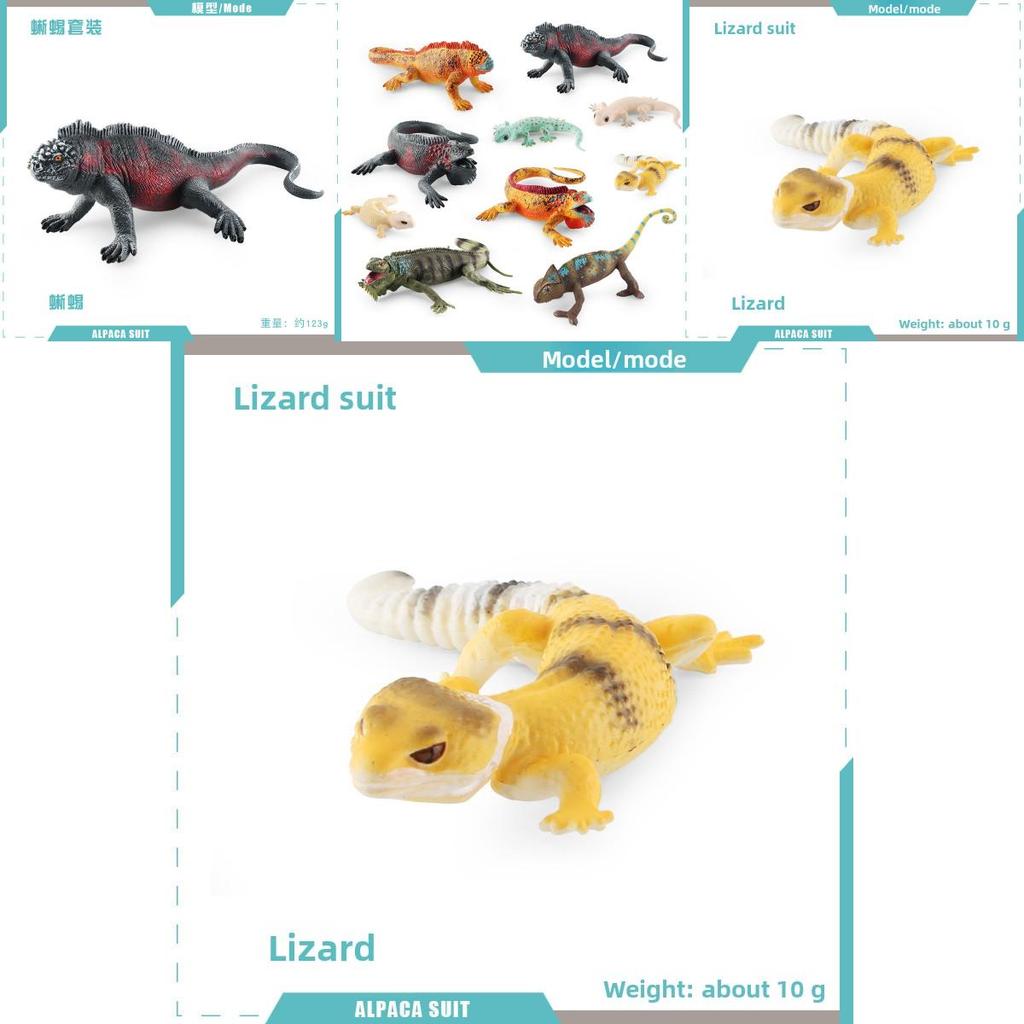 Realistic Reptile Lizard Chameleon Model With Assembleable Chameleon And Gecko Figures For Collectors And Kids