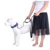 Reflective Explosion-Proof Shock-Absorbing Double-Handle Leash for Large Dogs