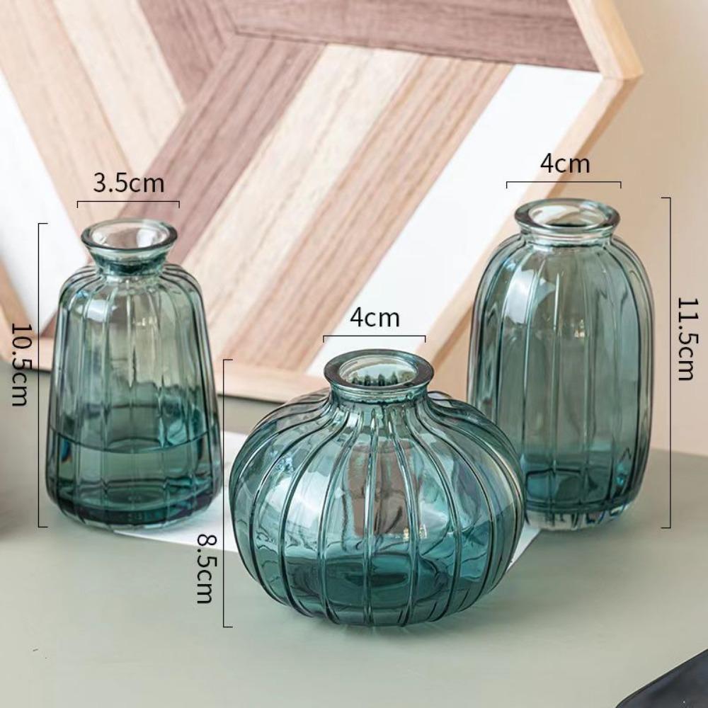 Decorative Flower Bottle Nordic Glass Vase Transparent Bud Vase Designed Hydroponic Plant Pot Living Room Decor Table Ornaments