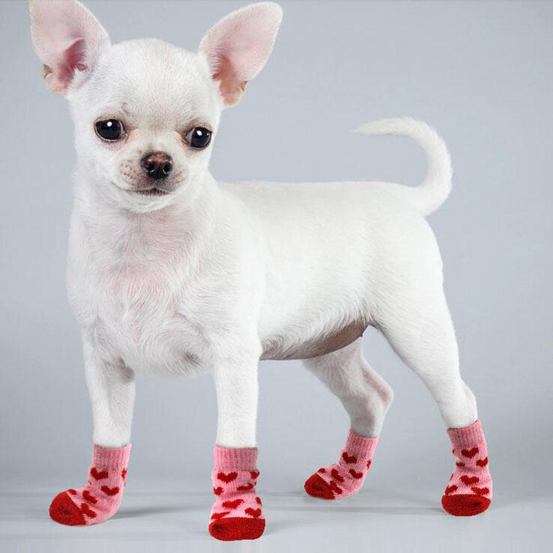 4Pcs Winter Knit Warm Socks for Small Dogs Thick Anti-Slip Pet Dog Socks Chihuahua Paw Protector Dog Booties Acssories S/M/L