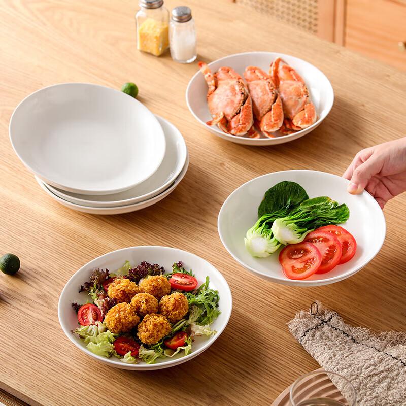 Jieyachie T836 Ceramic Dinner Plate