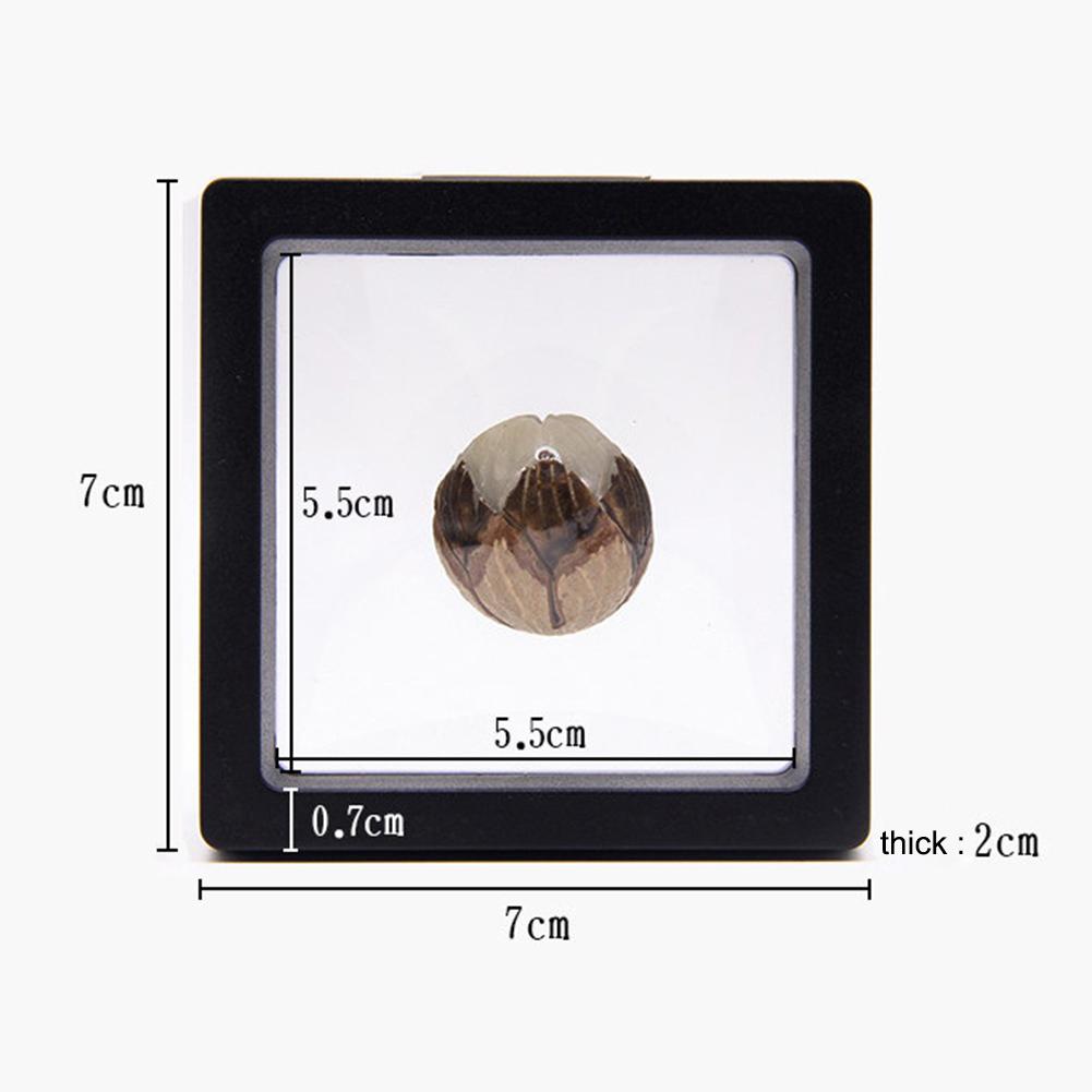 10pcs 3D Floating Frame Display Case Free Standing Floating Jewelry Storage Case for Coins Minerals Watches