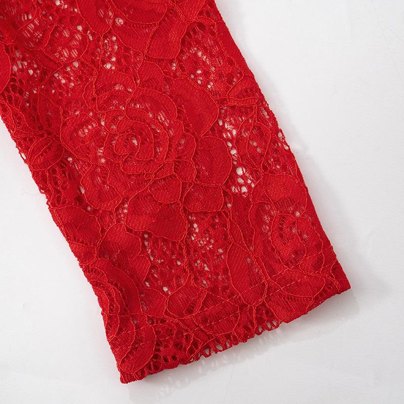 2025 Spring Mesh Lace High Neck Long Sleeve Women's Slim Fit Evening Gown