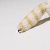 Takenoko Petit Petit Dream Nyckelring Katt Beige Gosedjur 68316