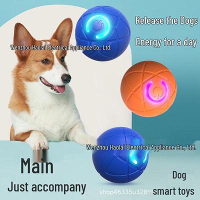Durable Bouncy Ball Toy for Dogs & Cats - Interactive, Wear-Resistant, Self-Play Companion for Relieving Pet Boredom.