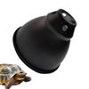 Reptiles – Terrarios de reptiles