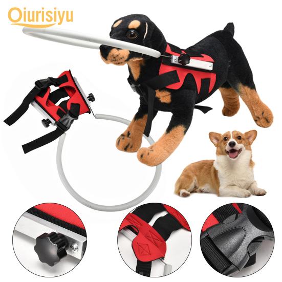 blind dog harness