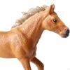 Horse Model Wildlife Figurine Educational Toy for Kids Ages 3-8