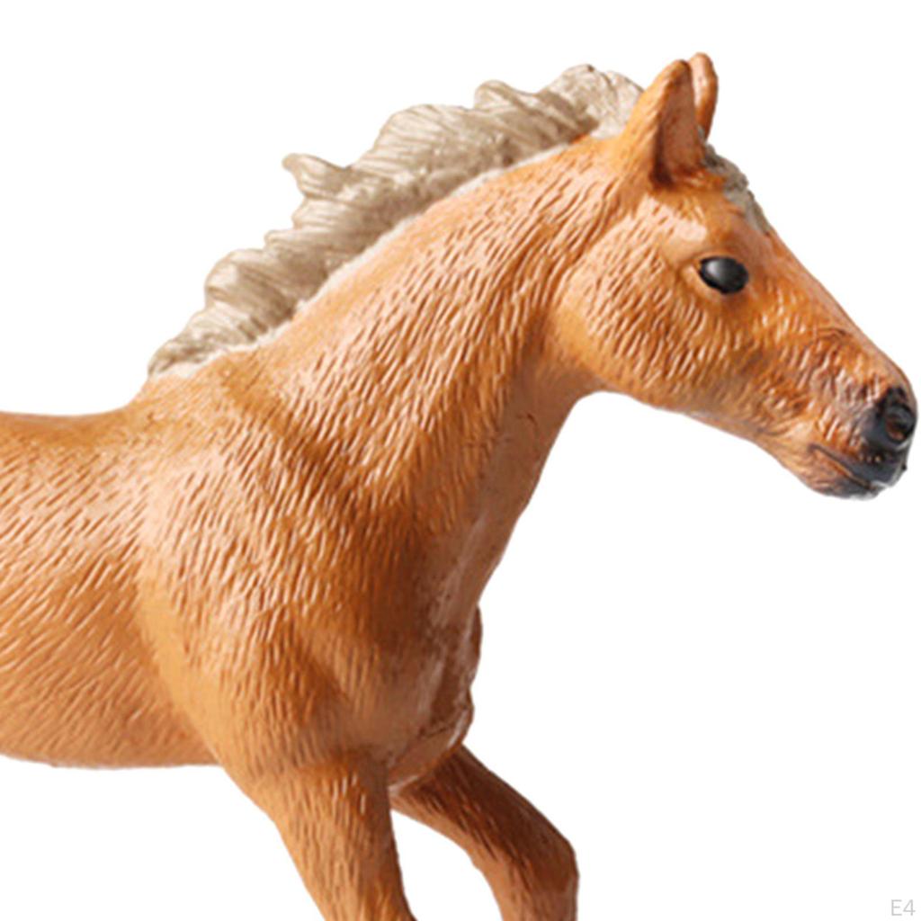 Horse Model Wildlife Figurine Educational Toy for Kids Ages 3-8
