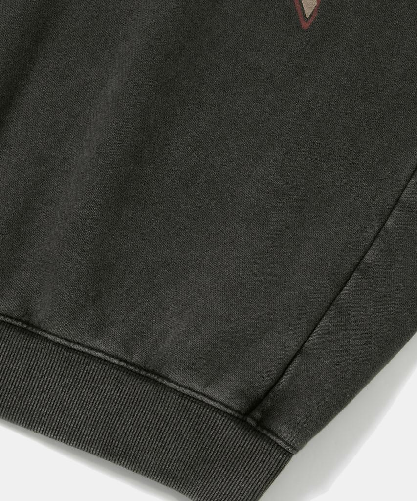 COLUMBIA UNIVERSITY Campus Washed Fleece Crew Neck_Charcoal