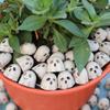 Halloween Ghostly Figurines Centerpieces Scary Resins Ghostly Statue Garden Decors Halloween Decors for Porch Lawn