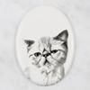 Exotic Shorthair – Commemorative plaque with a cat photo, tombstone with a print | Art-Dog
