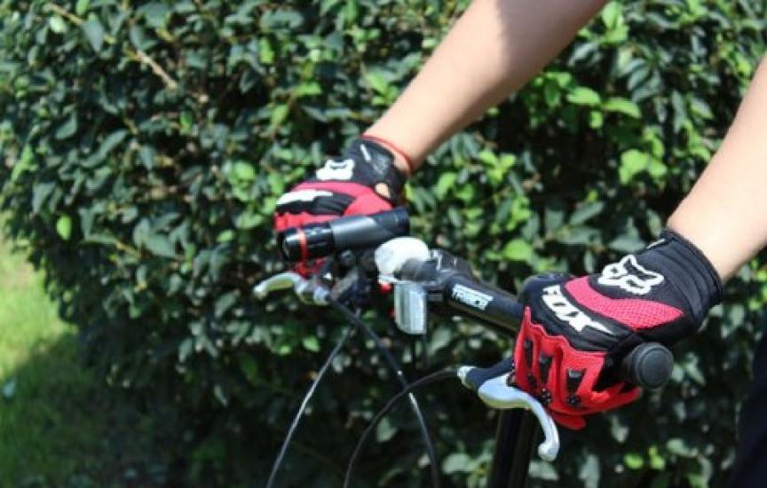 2013 FOX DIRTPAW Fox Dirtpaw Race Gloves Red Size M /