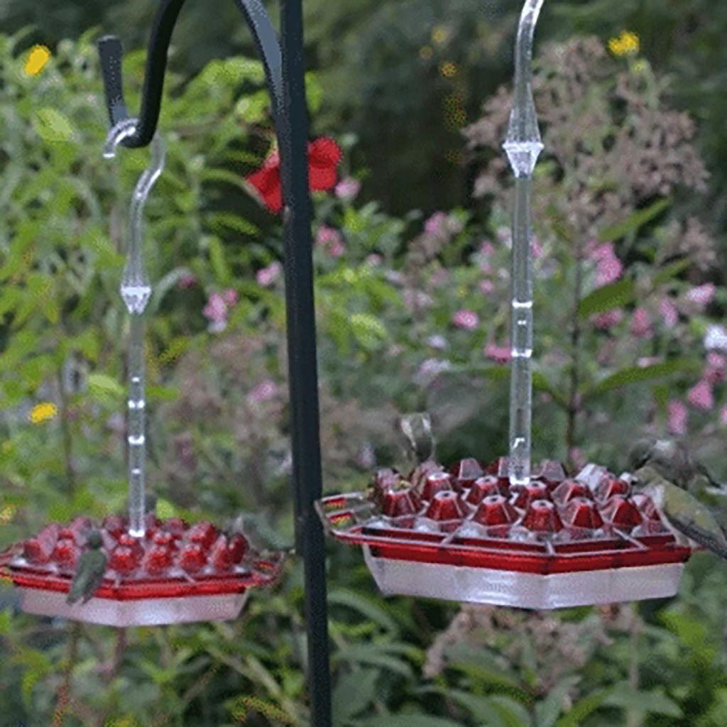 Buy Hummingbird Feeder With And Builtin Ant Moat Easy To Clean Best