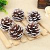 Whitened Pine Cone & Snowflake Cedar Fruit Ornament for Christmas Decor