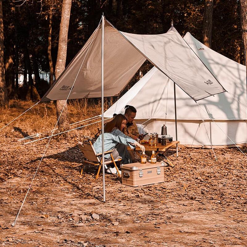 Extendable Outdoor Tent & Canopy Support Poles