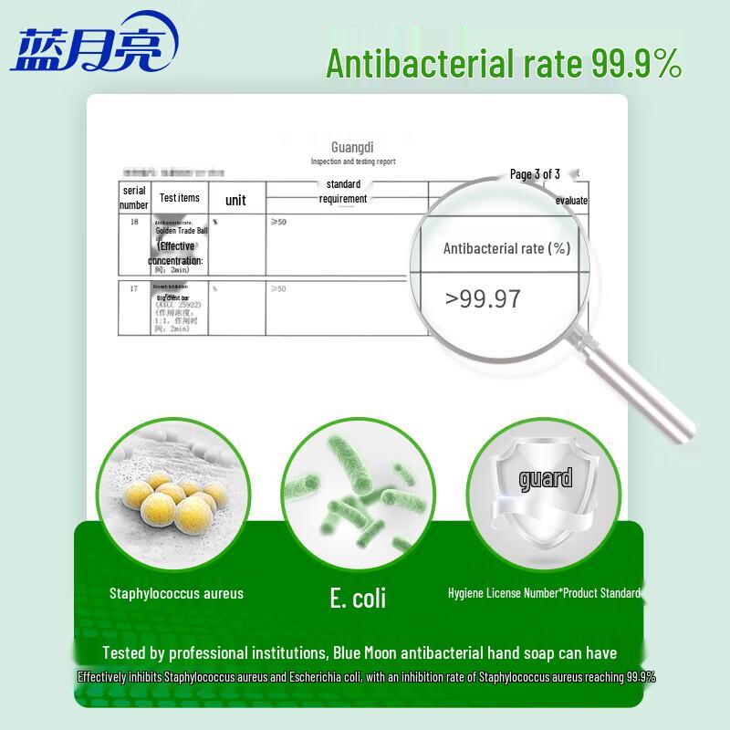 Blue Moon Aloe & Wild Chrysanthemum Hand Wash Set